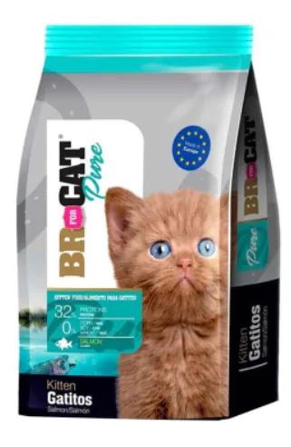 Br For Cat Gatitos Salmon X 1 Kilo