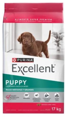 Excellent Perro Puppy Raza Mediana Grande 17k