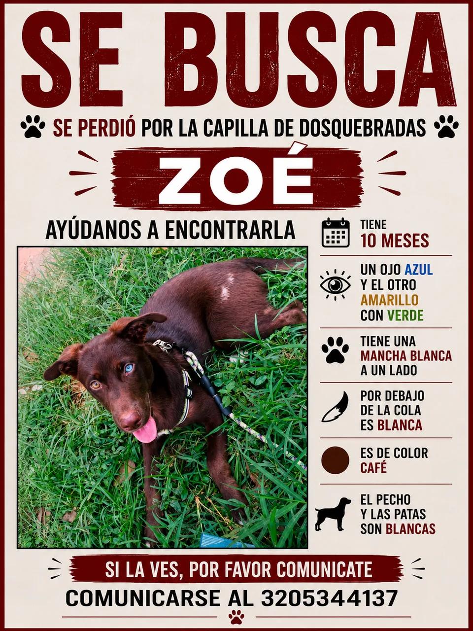 Zoé